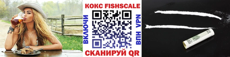 КОКАИН Fish Scale  блэк спрут как войти  Долгопрудный 