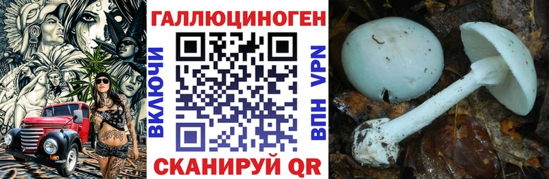 МЕГА   Долгопрудный  Галлюциногенные грибы Magic Shrooms  купить наркотик 