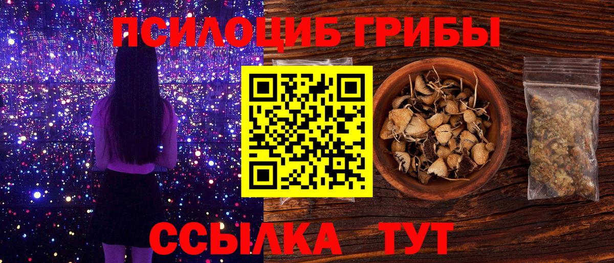 Галлюциногенные грибы мицелий Долгопрудный