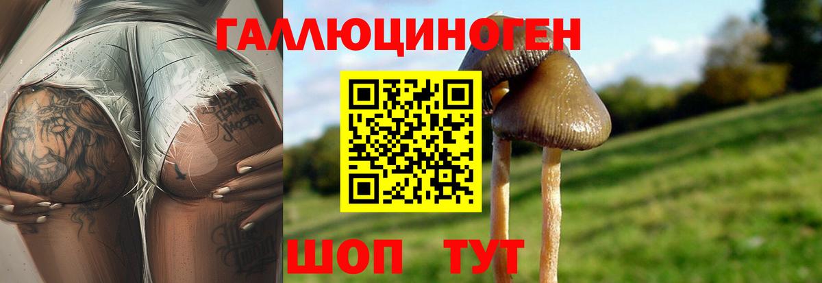Долгопрудный  Галлюциногенные грибы ЛСД  Вход с VPN 