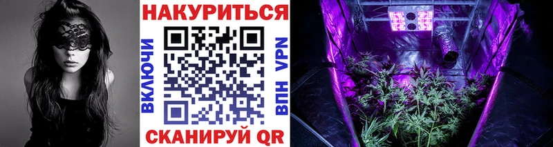 Шишки марихуана планчик Долгопрудный